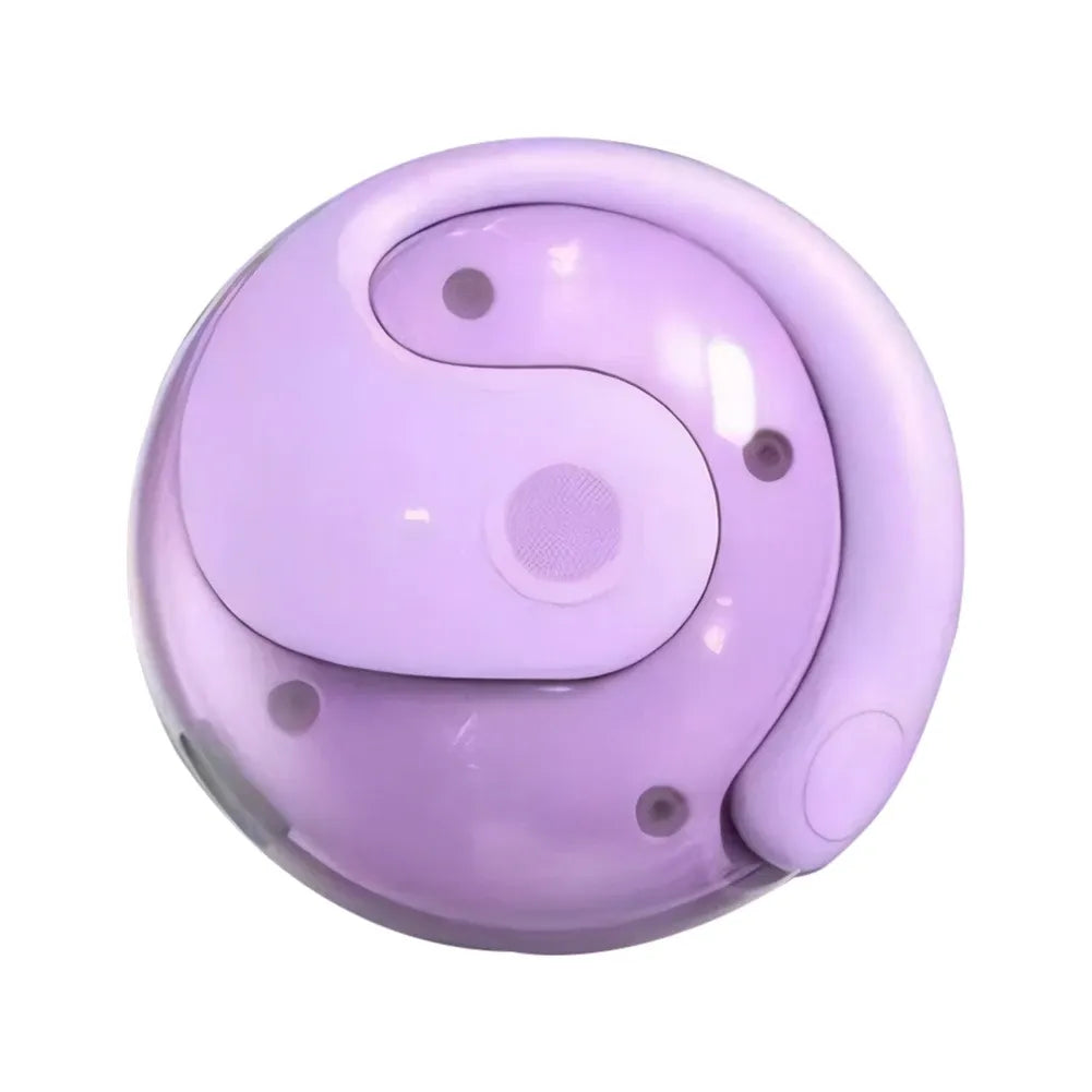 Ai Translator Earbuds™