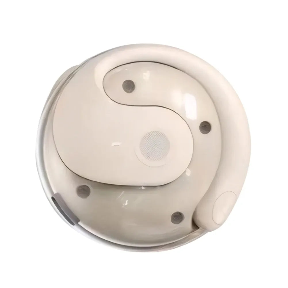 Ai Translator Earbuds™
