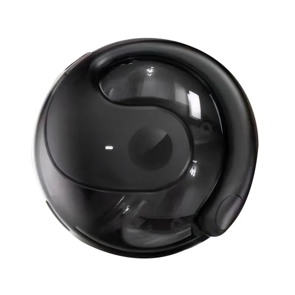 Ai Translator Earbuds™
