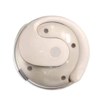 Ai Translator Earbuds™